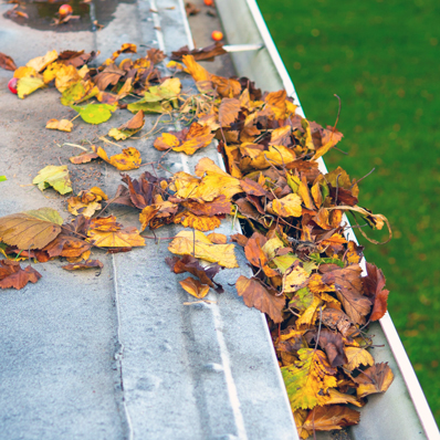 gutter cleaning services